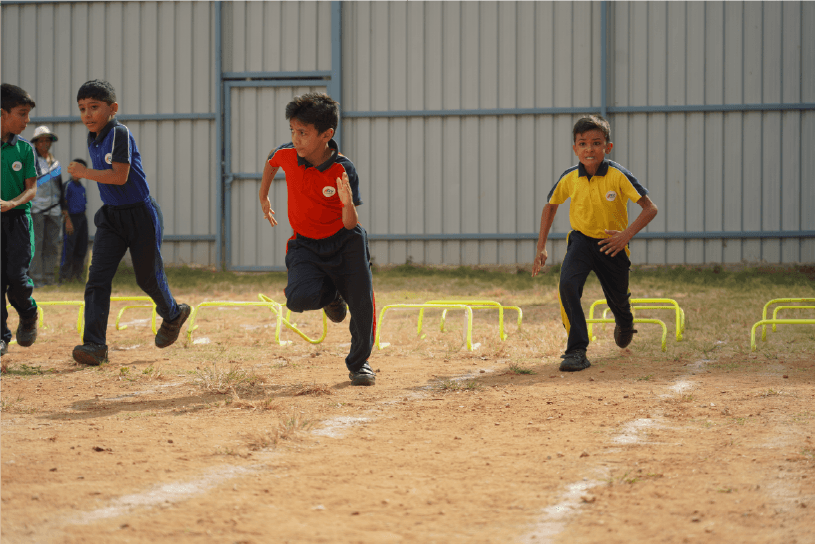 Cultural Activity 1