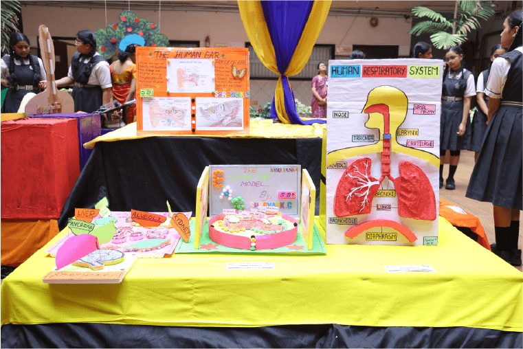 Cultural Activity 1